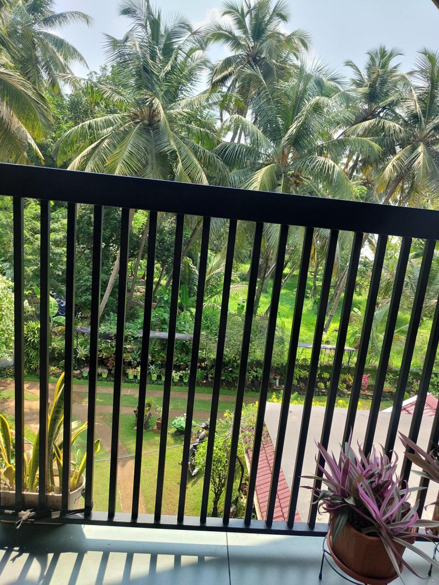 Maleyam Homestay Riverside Kozhikode Dış mekan fotoğraf